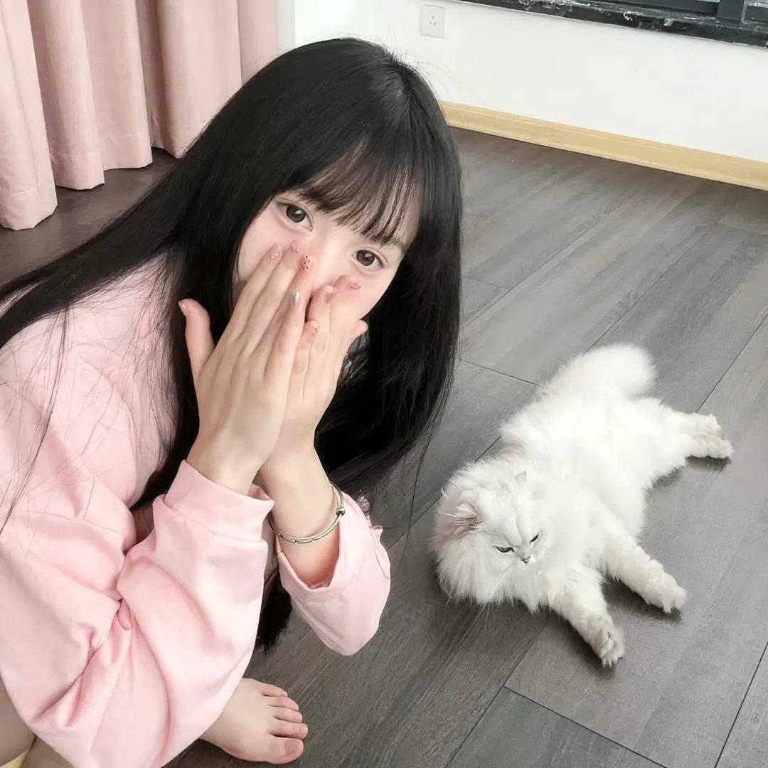 魔法少女小圆